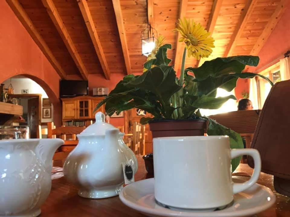 Hostal Rural Casa Pedro San Martín de Unx エクステリア 写真